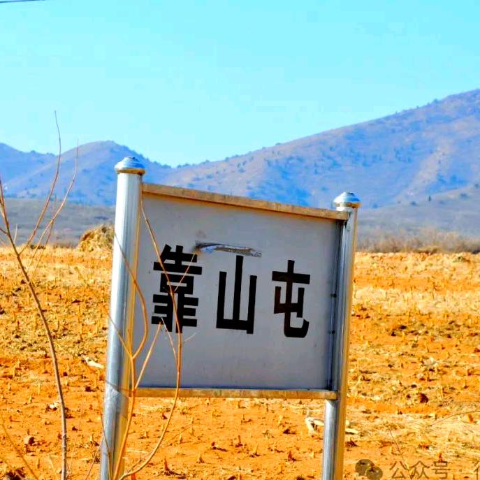 靠山屯郭有金