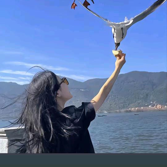 橙子