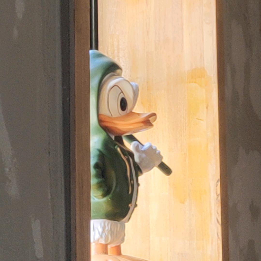 盒饭不是狗，看不了大门