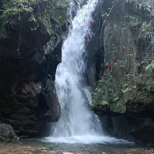 ♥(｡哈哈￫v￩｡)♥