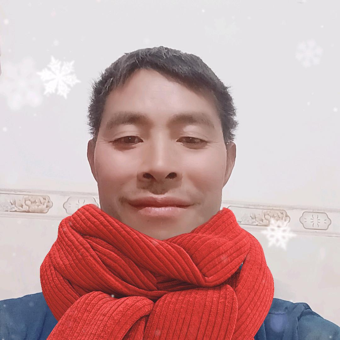 你真我就真15987051115