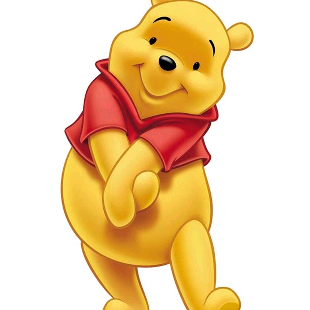 小熊维尼❤️‍🔥