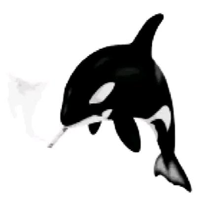 拉屎不放屁之王中皇