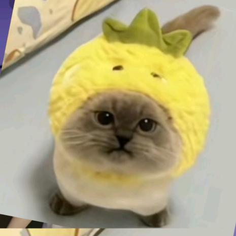 七七