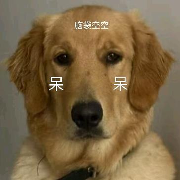 ❤️星⭐安🌹