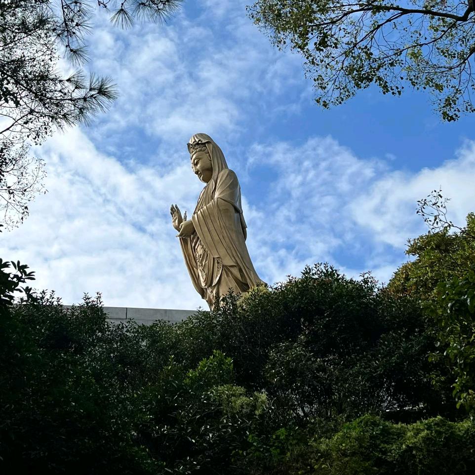 兰姐（首播）百货