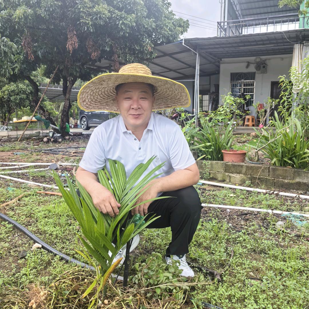 高老师讲海南高效农业（说肥料）为你排忧解