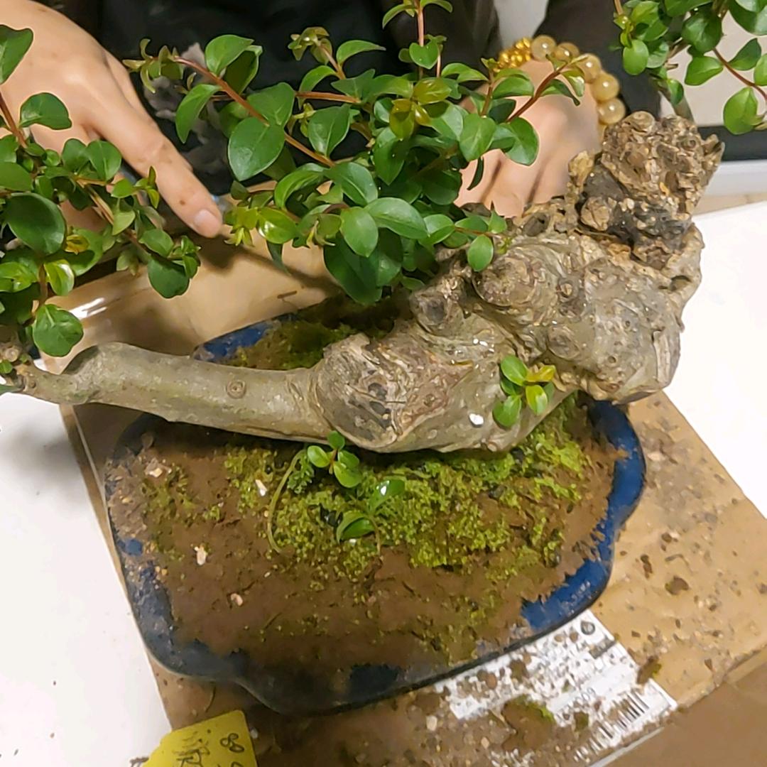 烈火