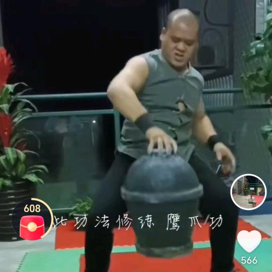 鹰爪功独孤求败。