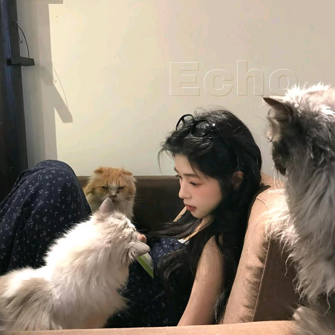 小呆魚^
