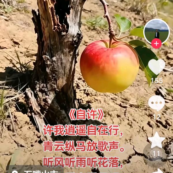 一生平安。