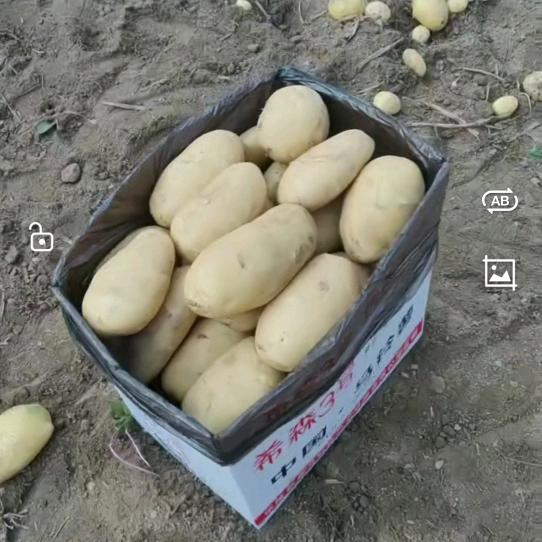 诚实做人。诚信做事。👊👊