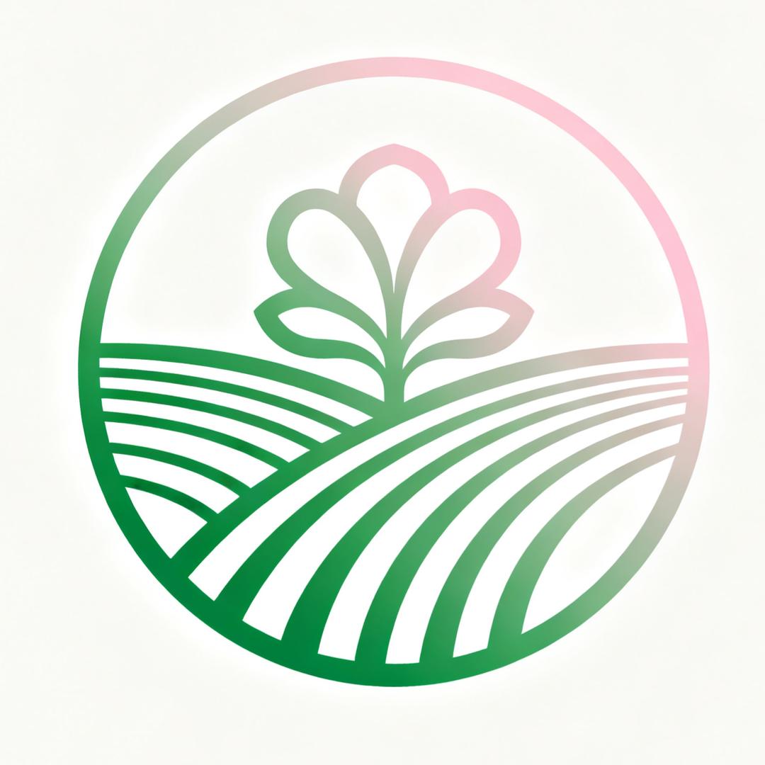 花见时遇玫