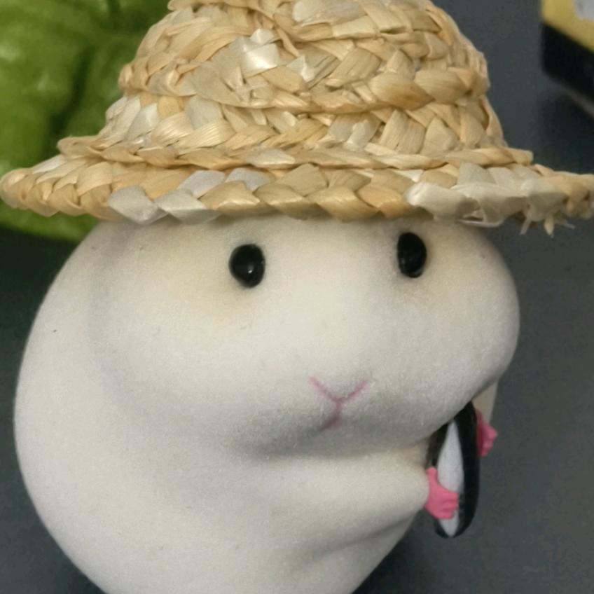 多乐与吕先生