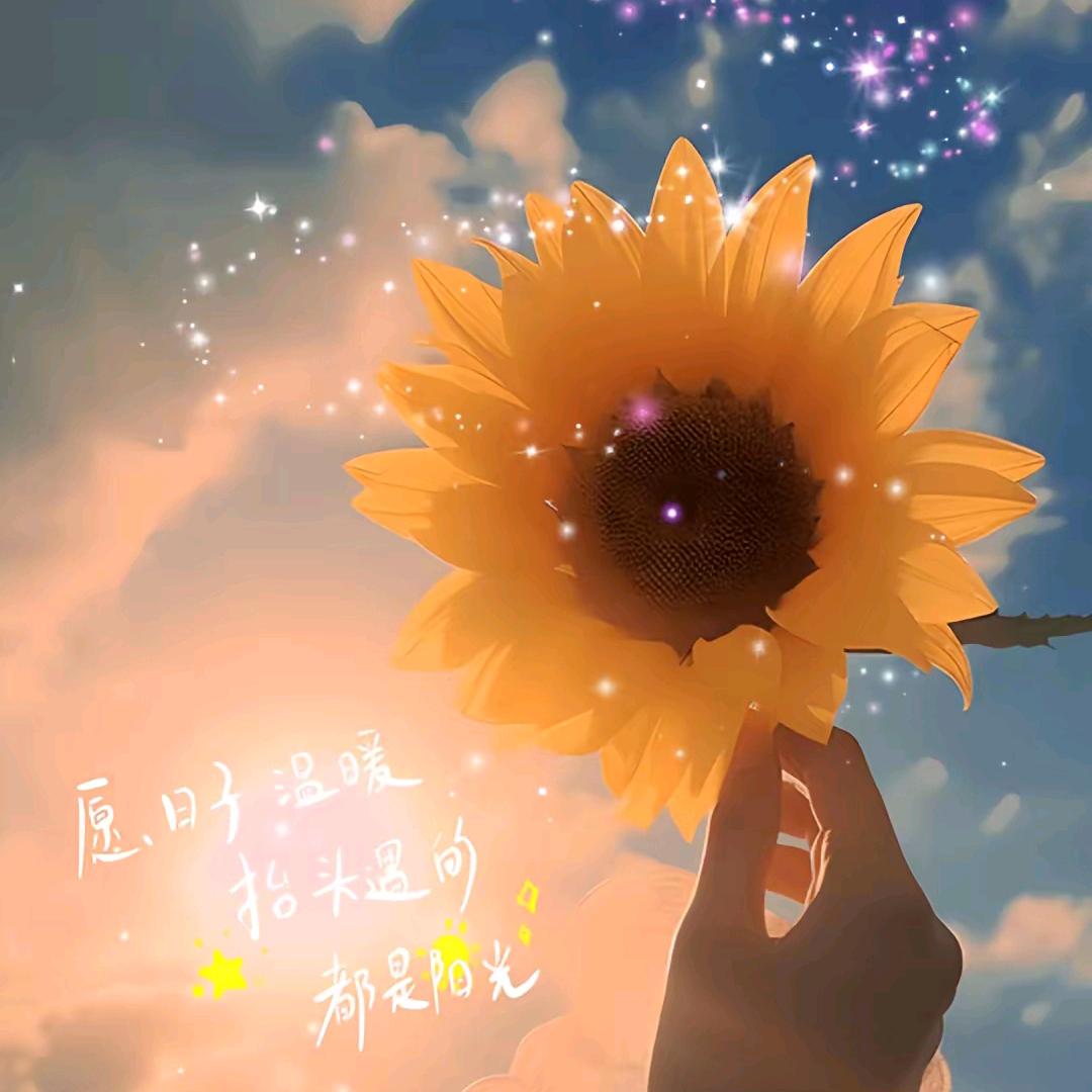 红太阳