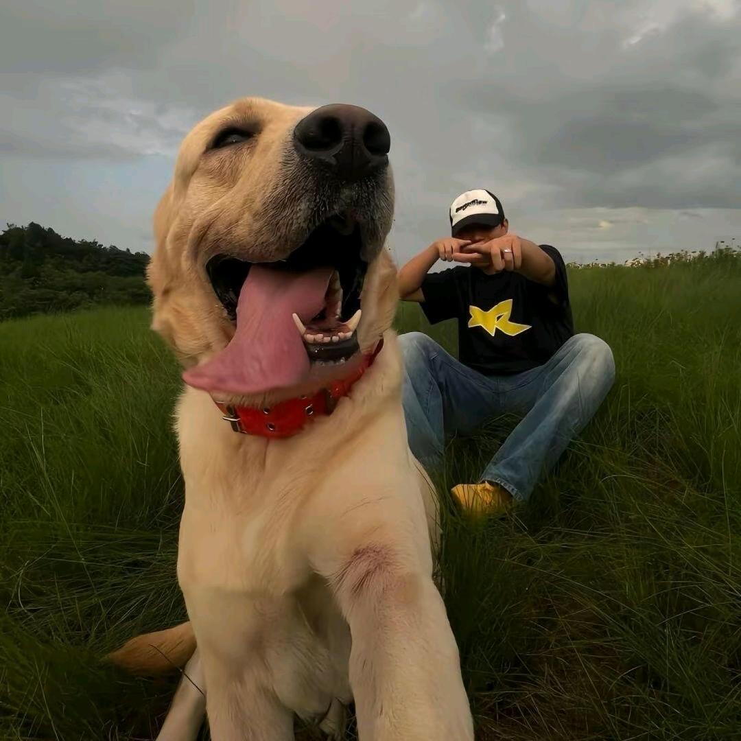 泪水打湿麦当劳 吃完汉堡吃薯条