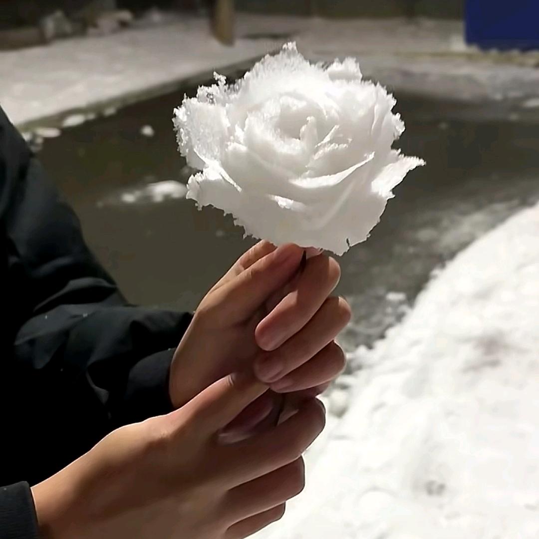 钟洛.
