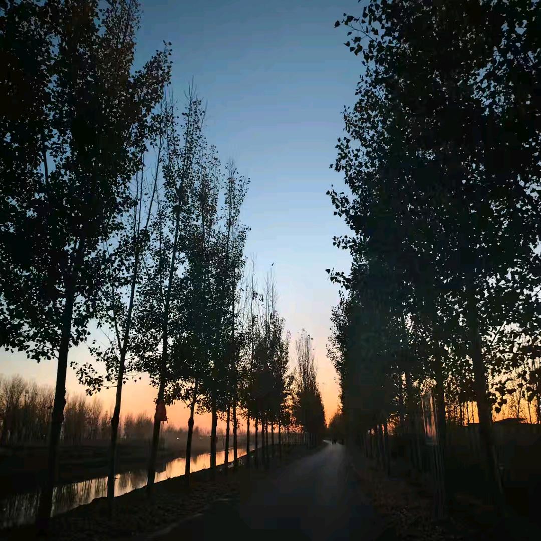 半颗༒糖
