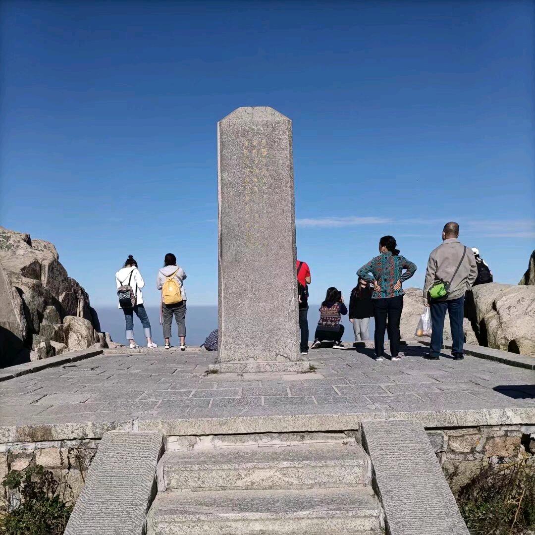 大王叫我来巡山