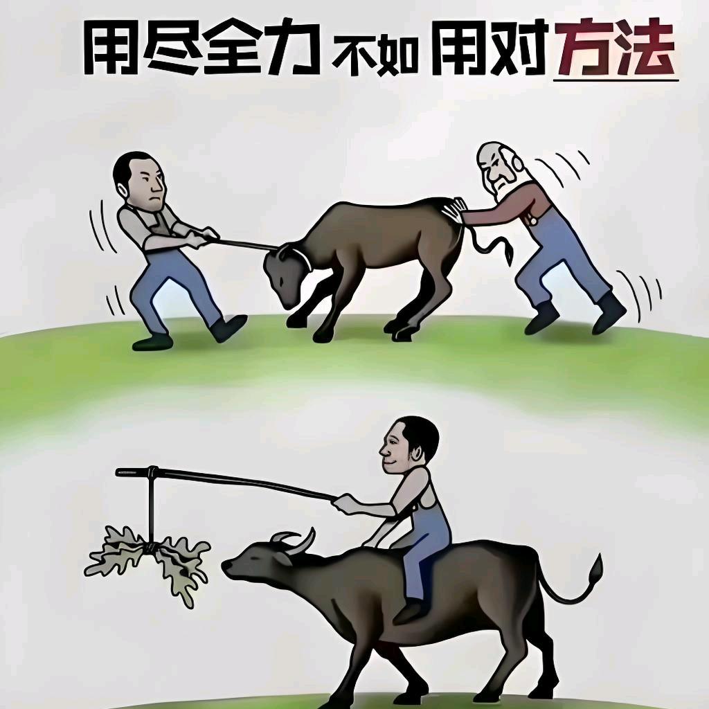 起扬