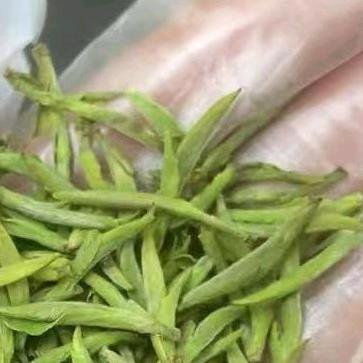 静静茶叶店