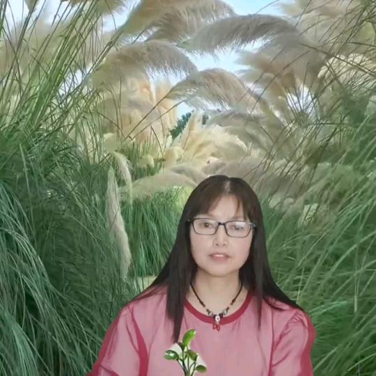 源头车品
