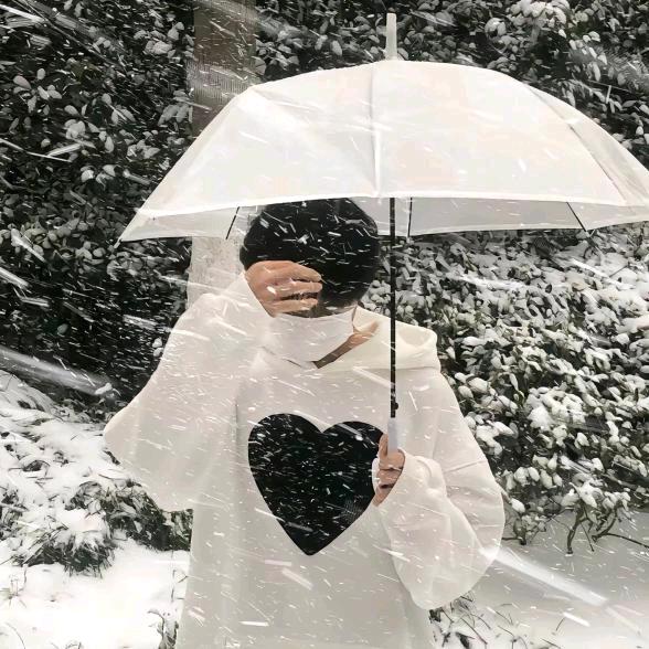 一个人看雪❄️