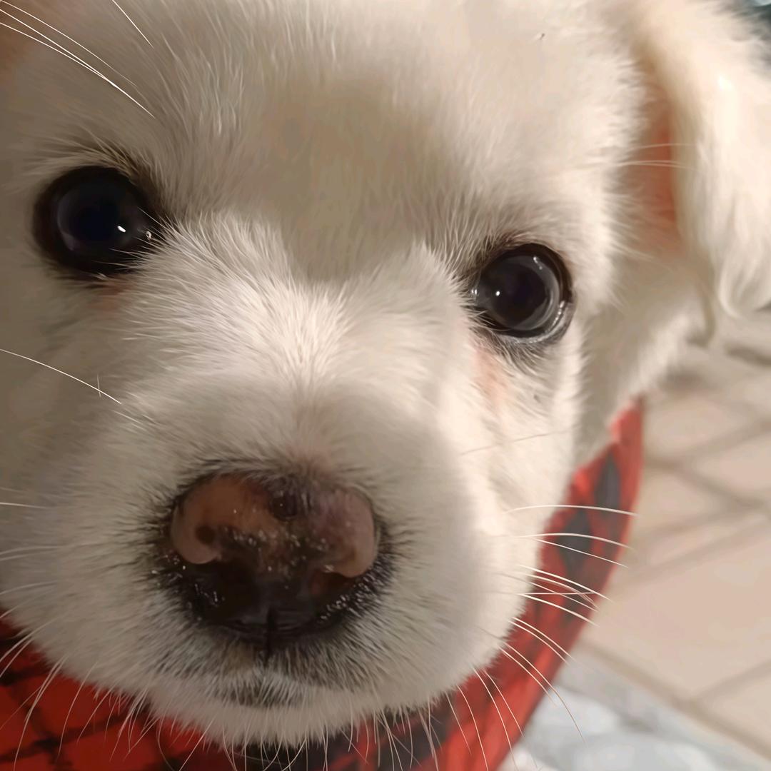 叙.（三角洲跑刀）