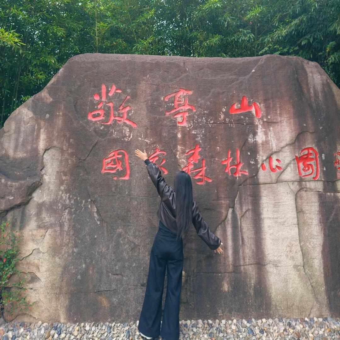 丹柠