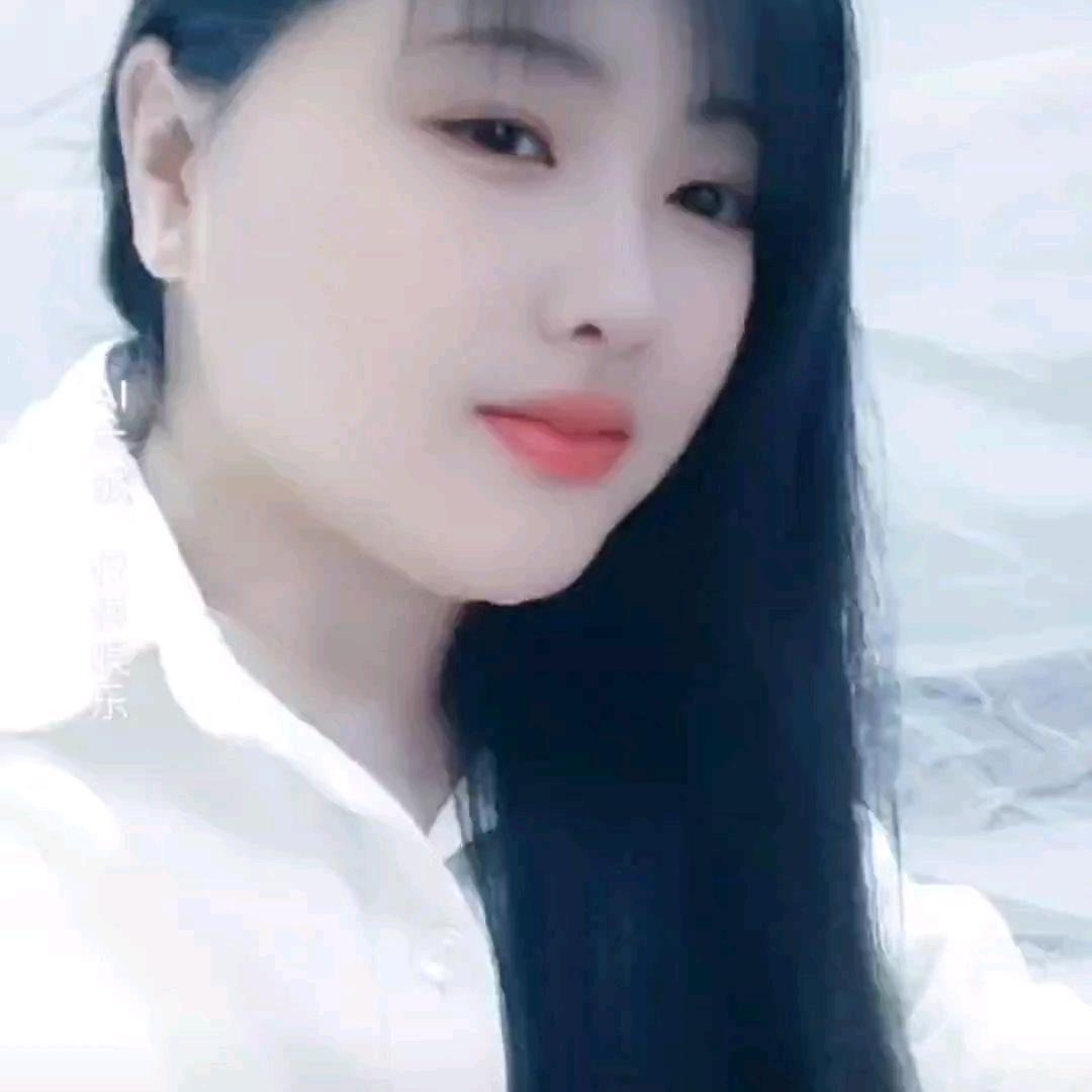 小燕子