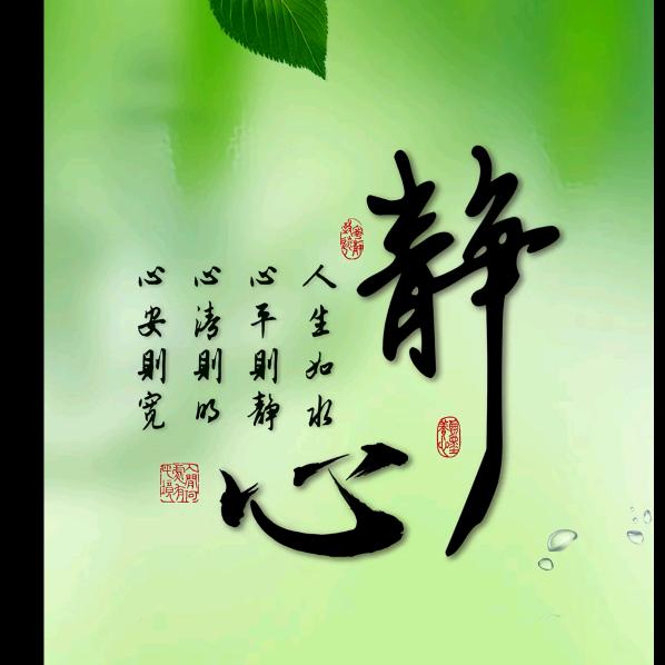 《胖大姐》晚上19点10开播