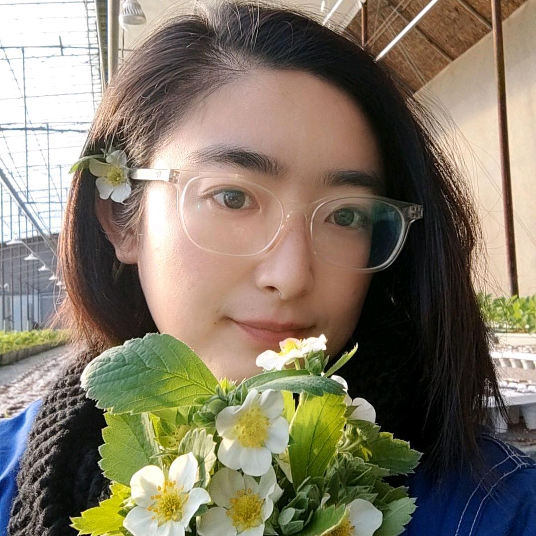 苗小梦（怡丰种苗）