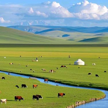 🦅秦巴雄鹰🦅