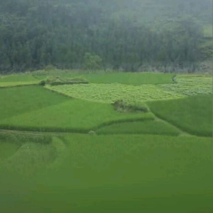 农村大姐义火火，公益团队