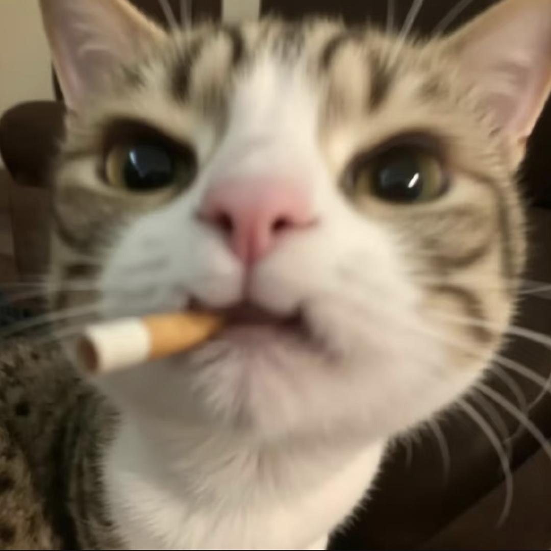 泥嚎