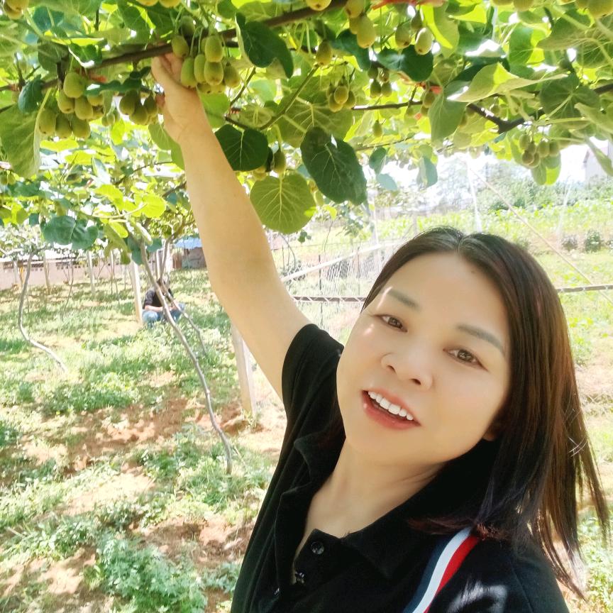 德国百强板材694