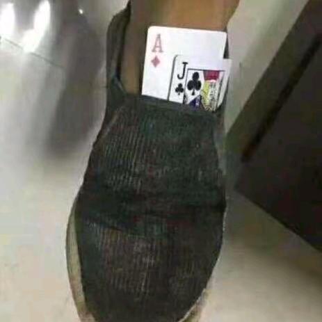 野趣户外子账号