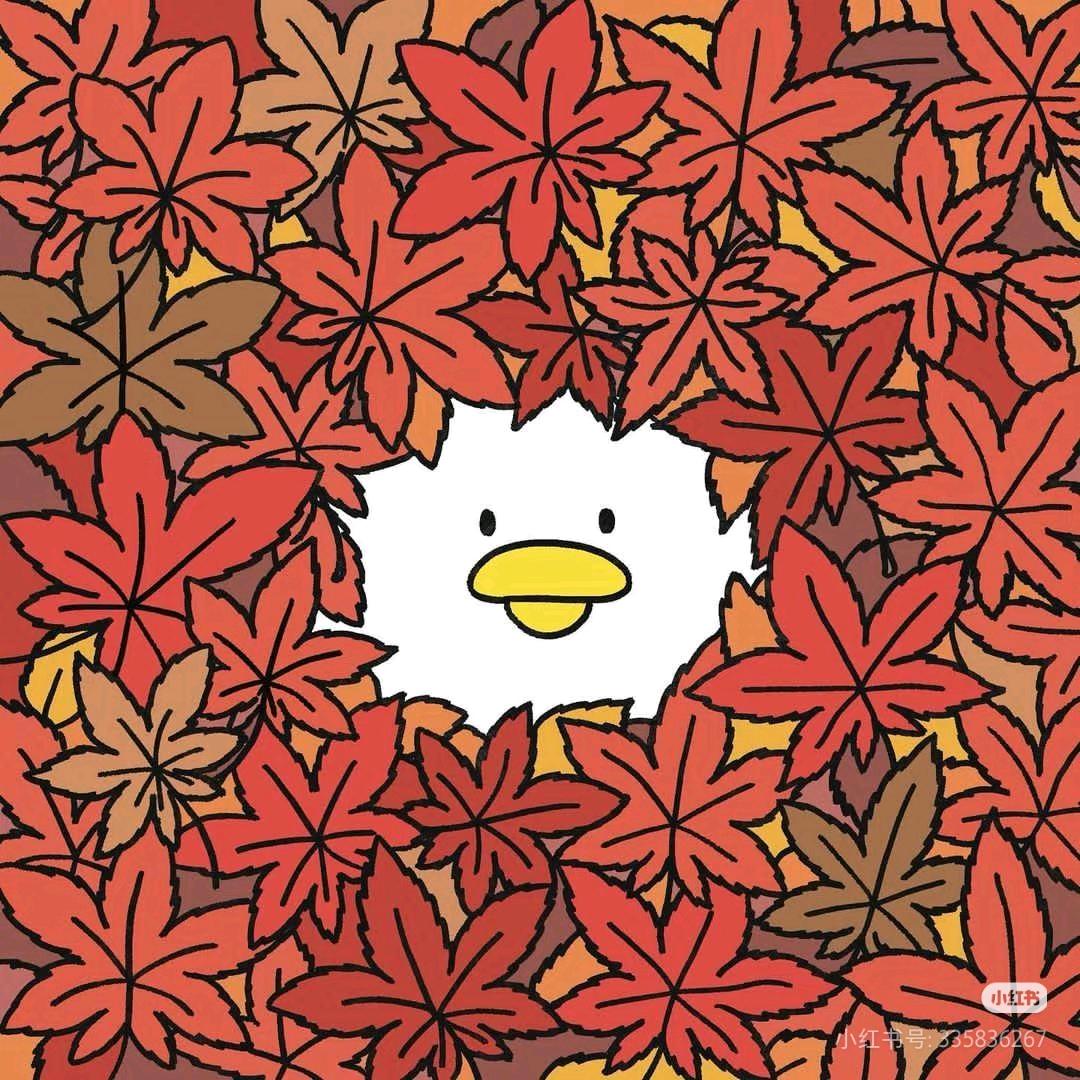 🌈 °·爱玩还又菜