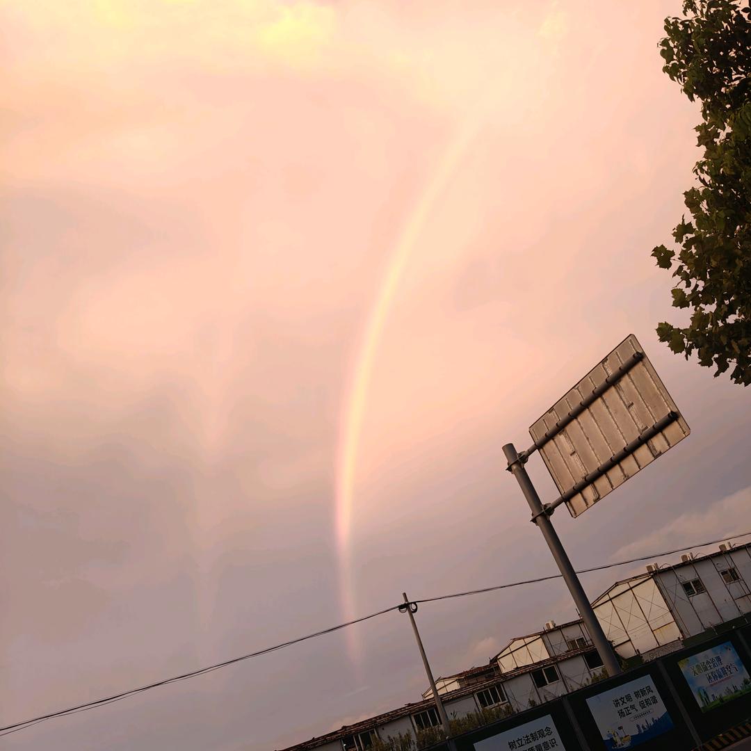 🦅🦅飞鹰🦅🦅