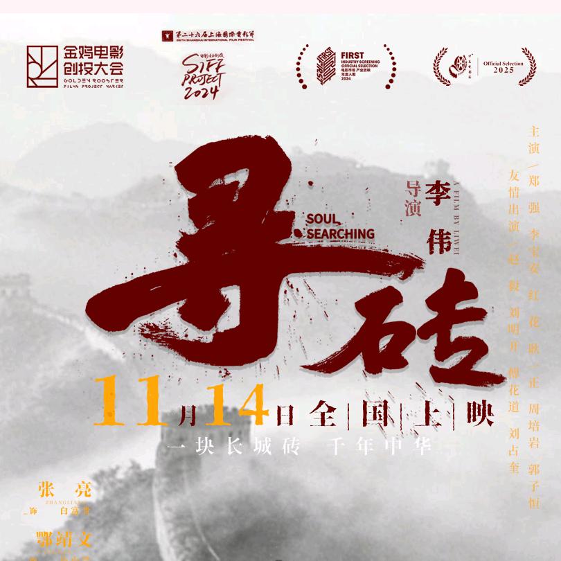 电影《寻砖》