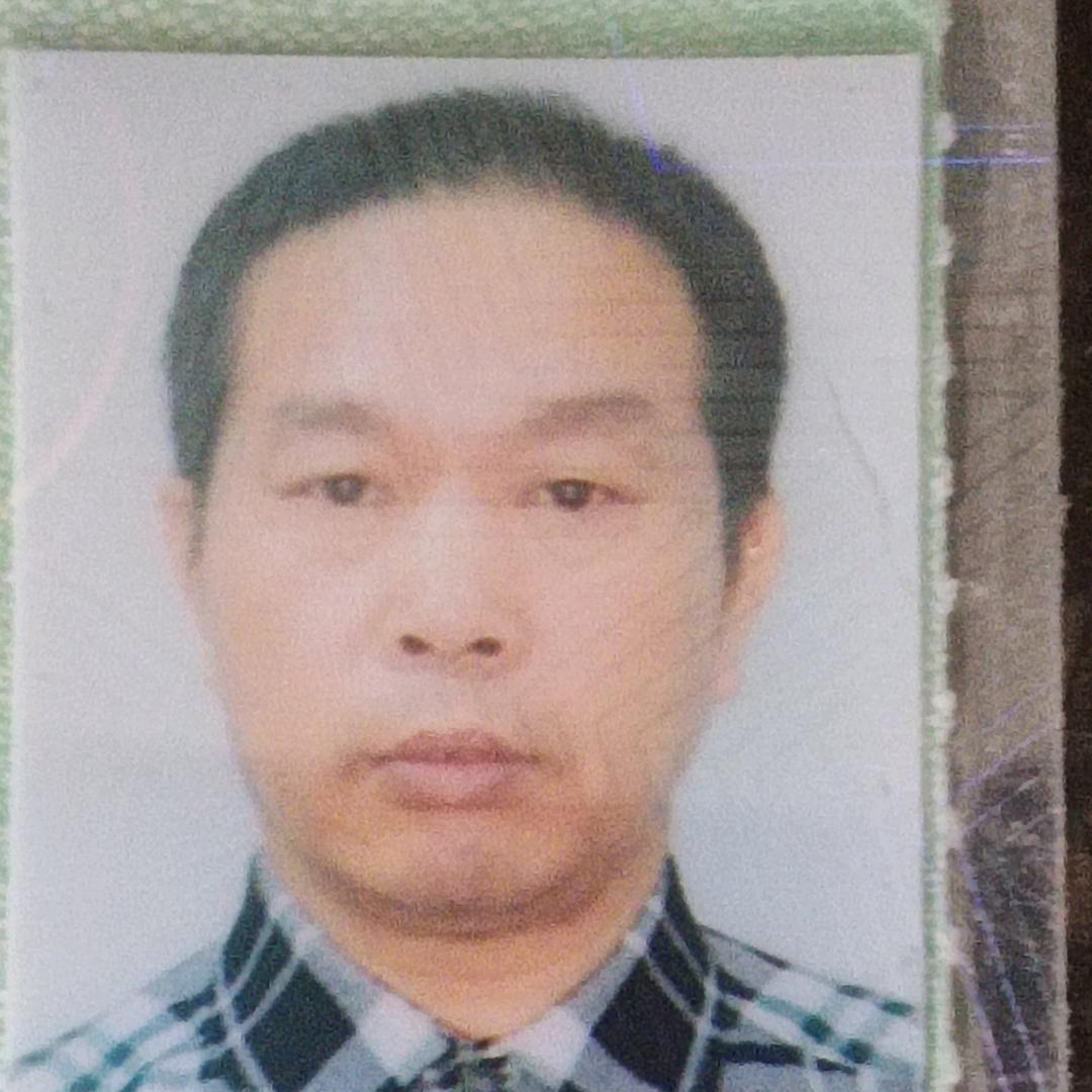 森林