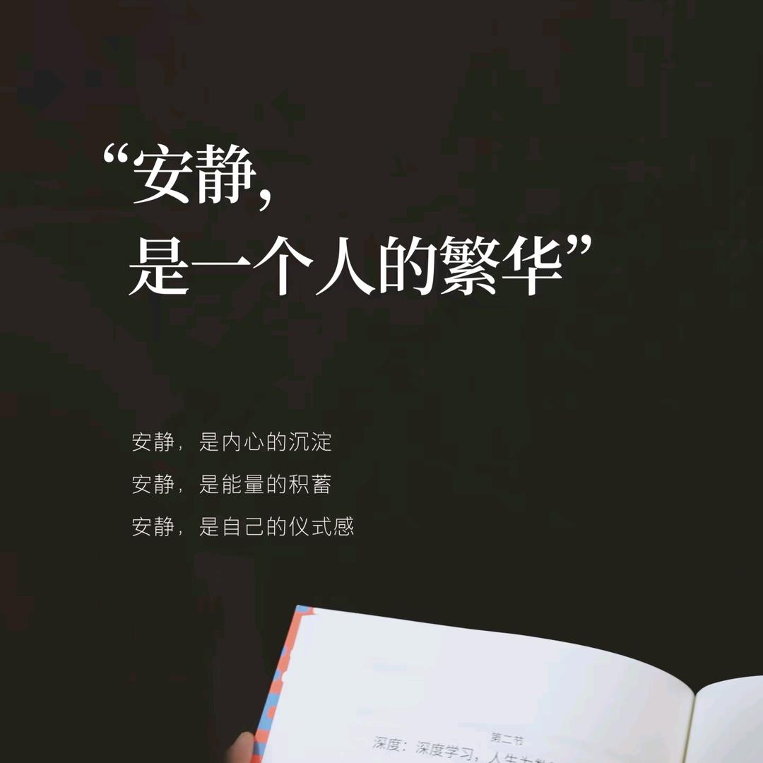 树洞小姐【安】