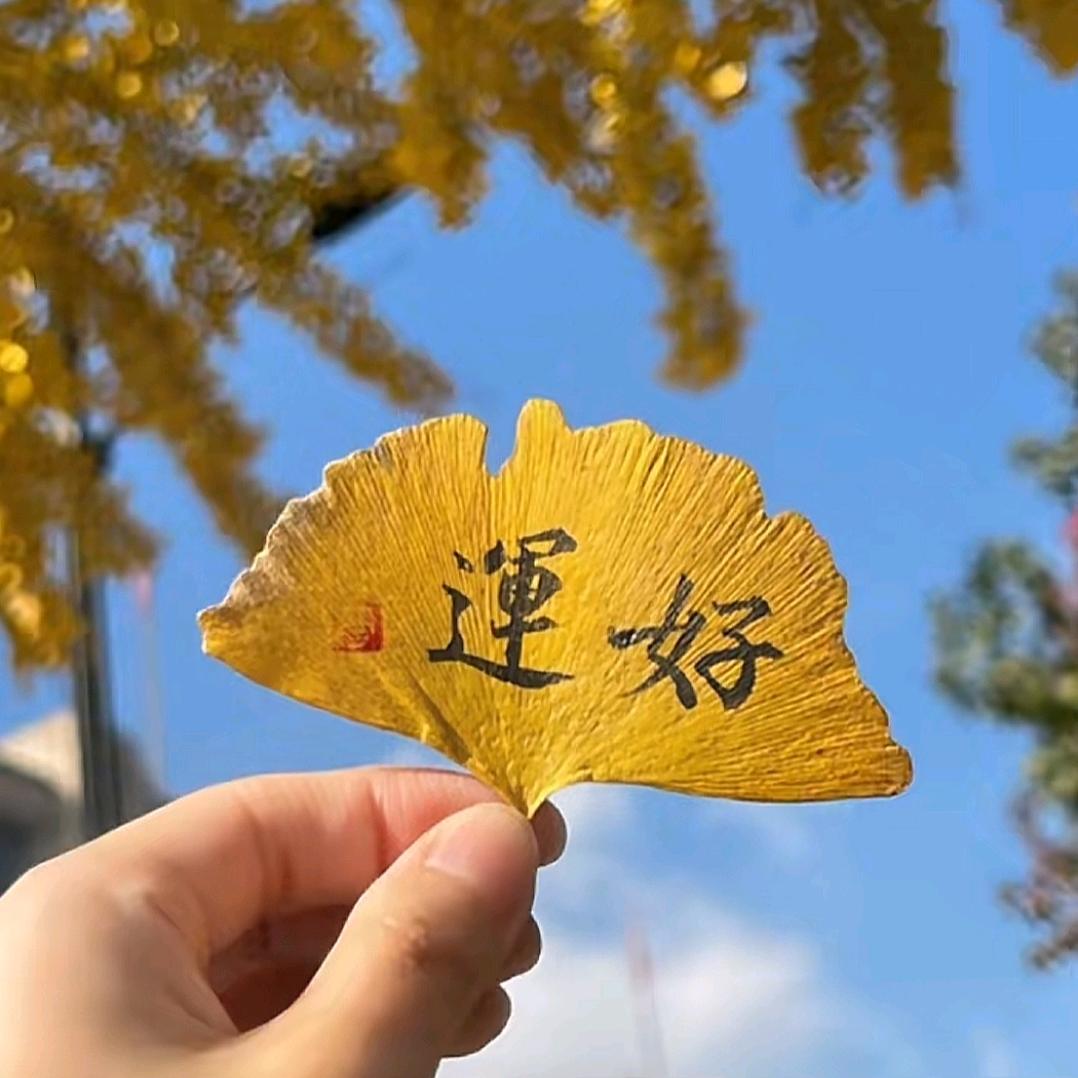 开心大姐