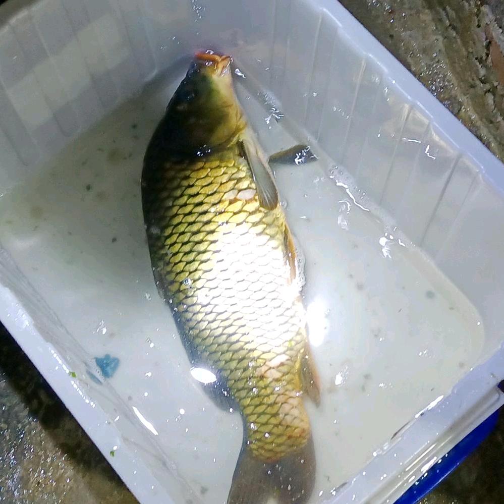 最好兄弟。