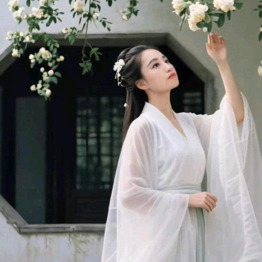 雪儿