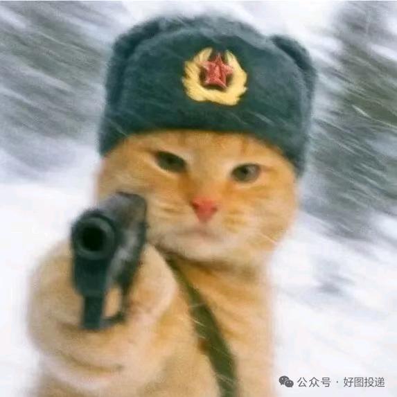 超大的鱼