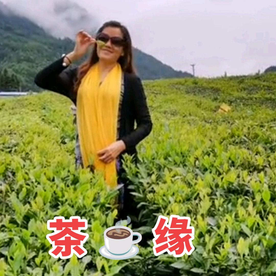 快乐姥姥🤗自娱自乐🤗1856