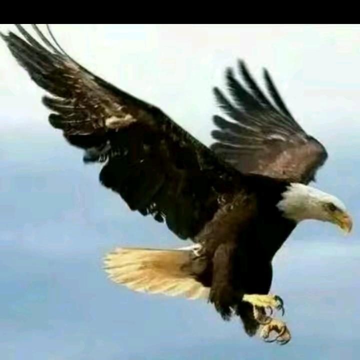 ༄༊࿆随心💞ོ自由🌠ృ࿐༄༊࿆💞