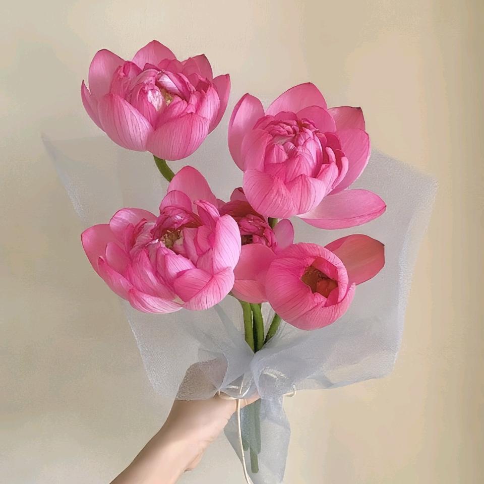 开心柚柚