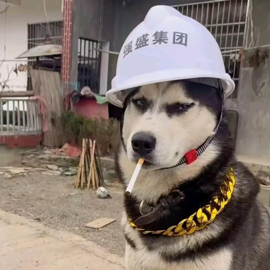 小🐏肖恩.